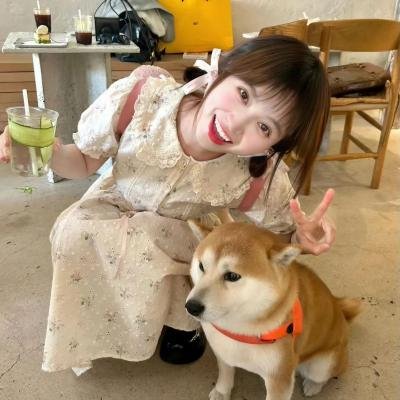 危险的追缠
